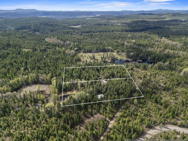 4395B Hesseltine Rd, Valley, WA 99181 - photo 12
