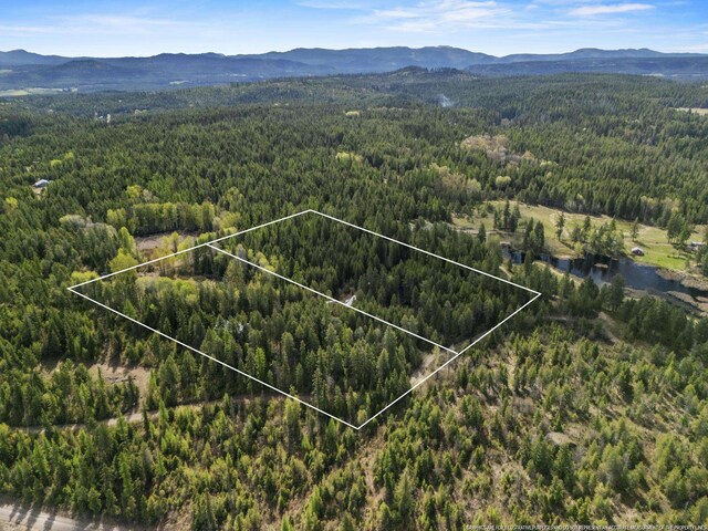 4395B Hesseltine Rd, Valley, WA 99181 - photo 13