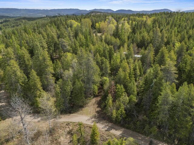 4395B Hesseltine Rd, Valley, WA 99181 - photo 14