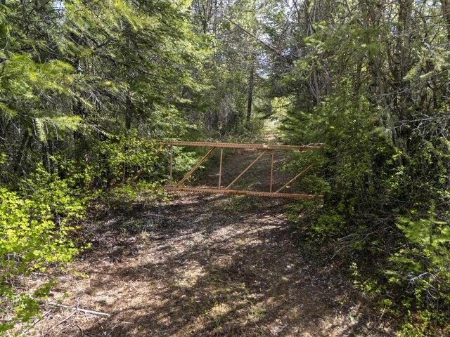 4395B Hesseltine Rd, Valley, WA 99181 - photo 15