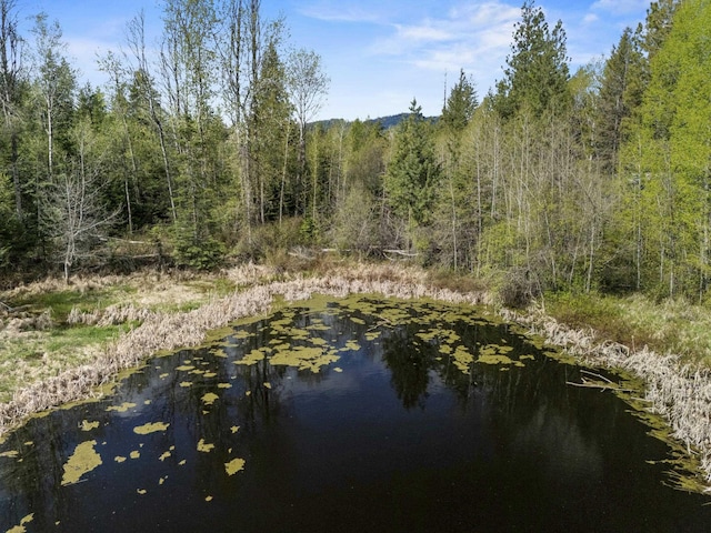 4395B Hesseltine Rd, Valley, WA 99181 - photo 3