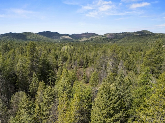 4395B Hesseltine Rd, Valley, WA 99181 - photo 21
