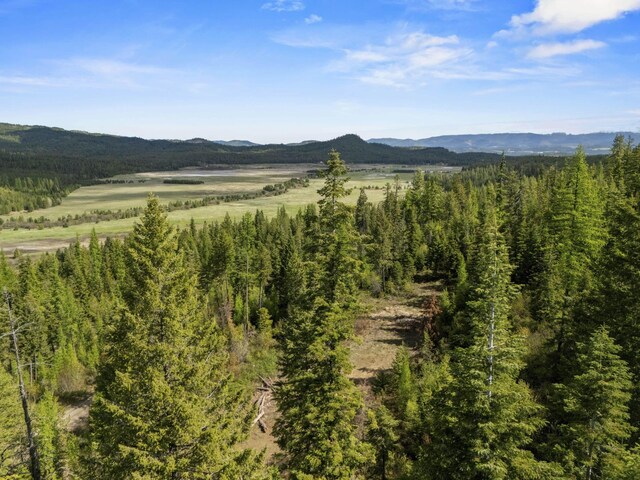 4395B Hesseltine Rd, Valley, WA 99181 - photo 22