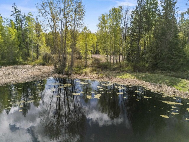 4395B Hesseltine Rd, Valley, WA 99181 - photo 4
