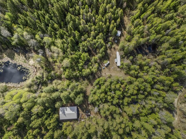 4395B Hesseltine Rd, Valley, WA 99181 - photo 5
