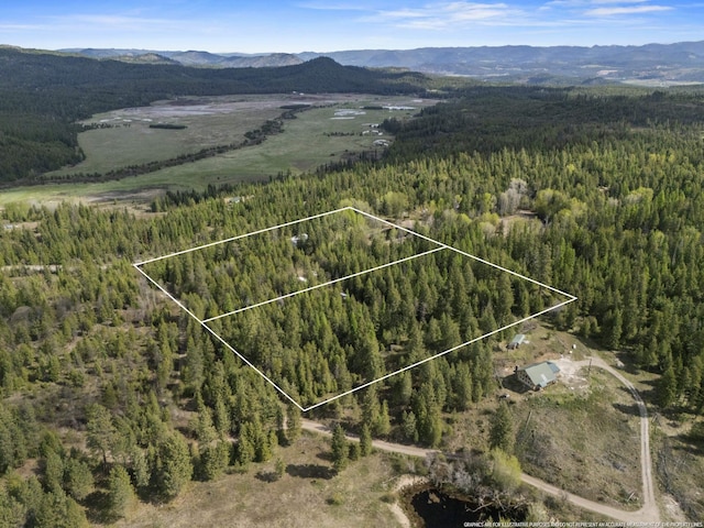 4395B Hesseltine Rd, Valley, WA 99181 - photo 9