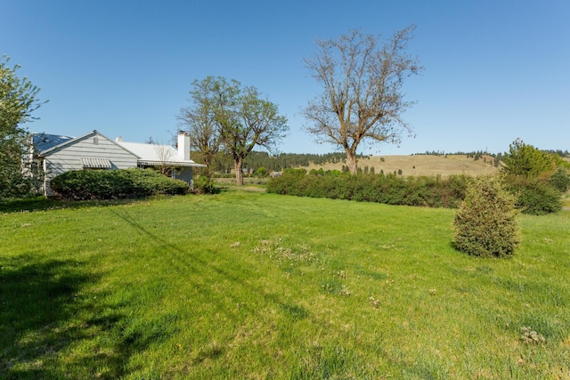 view of grassy yard