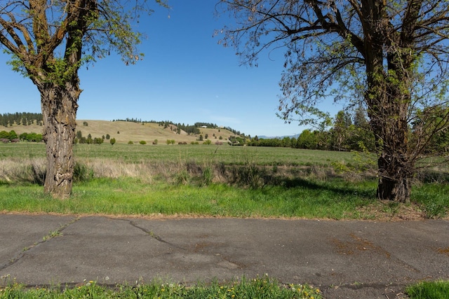 view of road with a rural view