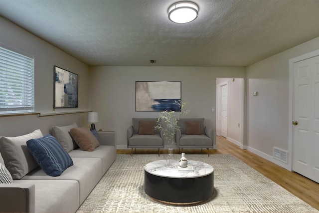 living room with wood finished floors, baseboards, and a textured ceiling