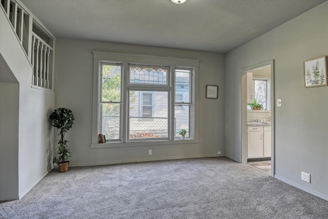 1121 W Knox Ave, Spokane, WA 99205 - empty room featuring carpet flooring, baseboards, and a textured ceiling