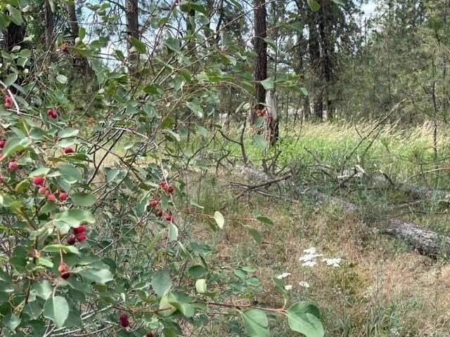 TBD S Assembly Rd, Spokane, WA 99224