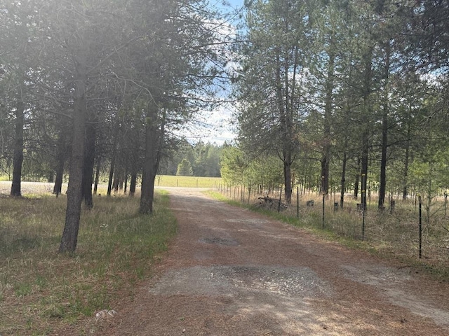 1468 Veit Rd, Newport, WA 99156 - view of dirt / gravel road