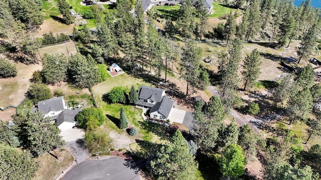 drone / aerial view