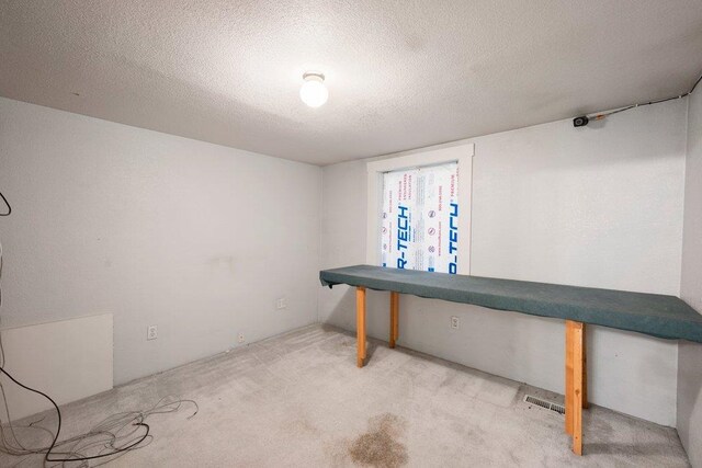 1725 N Park Rd, Spokane Valley, WA 99212 - basement with carpet and a textured ceiling