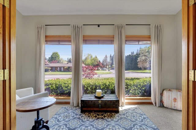 living area featuring plenty of natural light and carpet