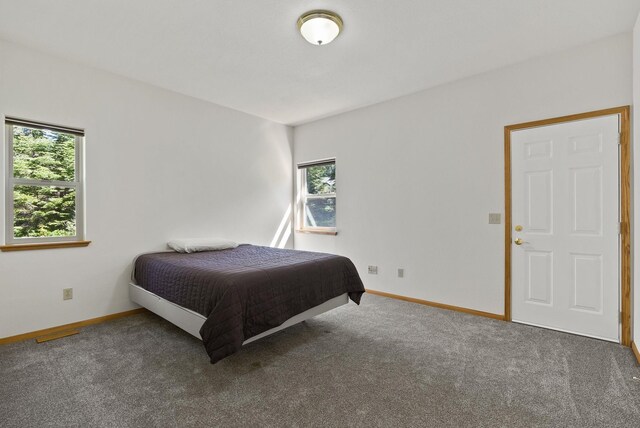 2238 Green Rd, Newport, WA 99156 - carpeted bedroom featuring multiple windows and baseboards