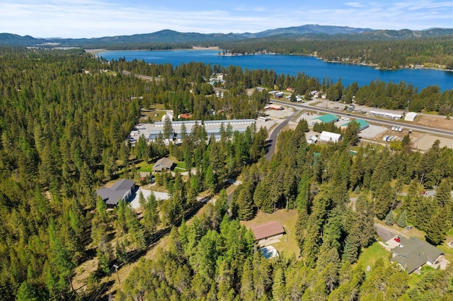 2238 Green Rd, Newport, WA 99156 - drone / aerial view of a heavily wooded area and a water and mountain view