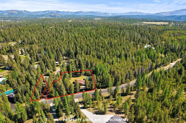 2238 Green Rd, Newport, WA 99156 - aerial overview of property's location featuring a heavily wooded area, mountains, and property boundaries highlighted
