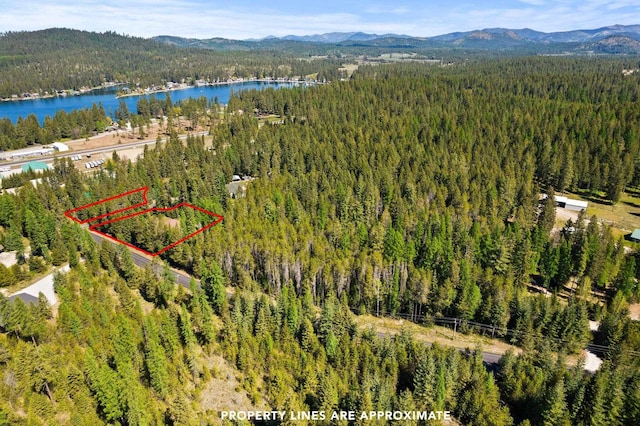 2238 Green Rd, Newport, WA 99156 - aerial overview of property's location featuring a forest, a water and mountain view, and property parcel outlined