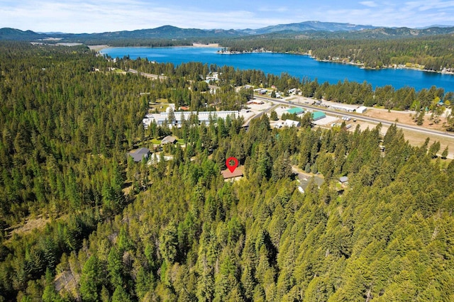 2238 Green Rd, Newport, WA 99156 - view of property location with a forest and a water and mountain view