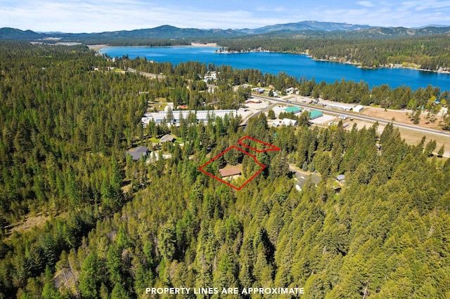 2238 Green Rd, Newport, WA 99156 - aerial view of property and surrounding area featuring a forest, a water and mountain view, and property parcel outlined
