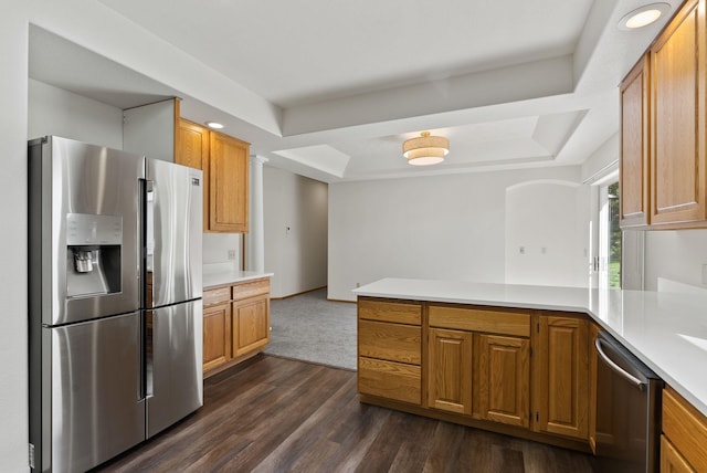 2238 Green Rd, Newport, WA 99156 - kitchen featuring stainless steel appliances, a tray ceiling, light countertops, a peninsula, and recessed lighting