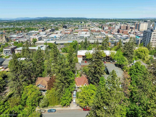 1114 W 7th Ave, Spokane, WA 99204 - view of urban area