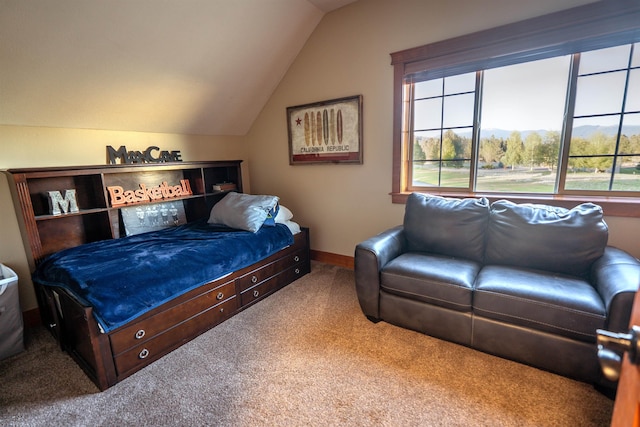 21621 N Lang Ln, Chattaroy, WA 99003 - carpeted bedroom featuring lofted ceiling and baseboards