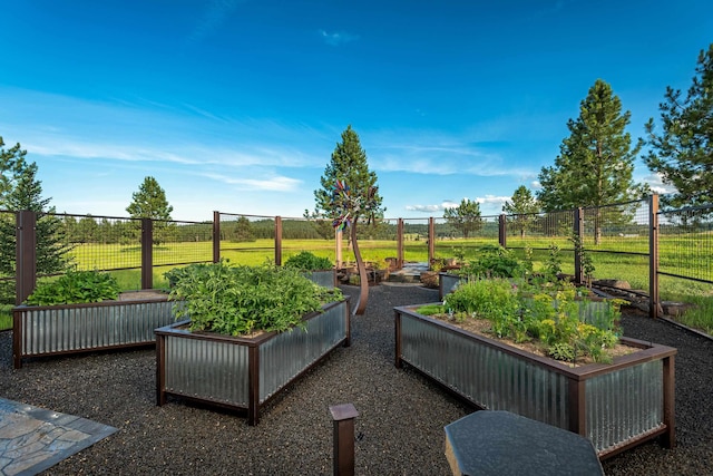 21621 N Lang Ln, Chattaroy, WA 99003 - view of yard featuring a vegetable garden