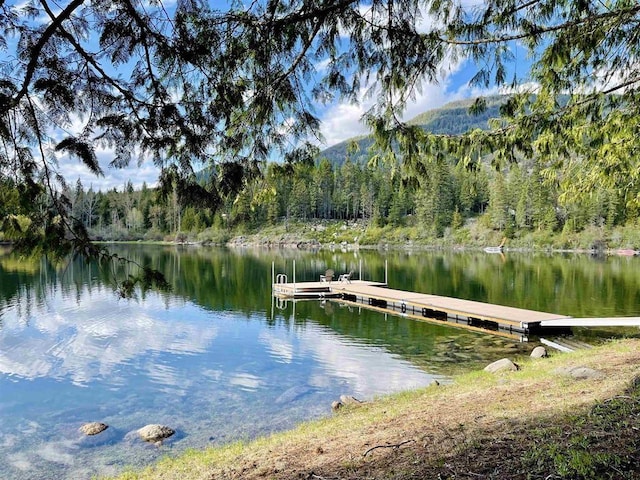 dock area with a view of trees and a water view