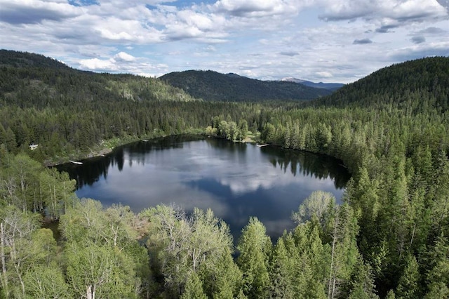 water view featuring a forest and a mountainous background