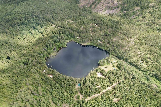 view of property location with a heavily wooded area and a nearby body of water