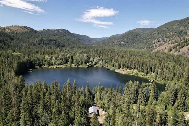 water view with a forest and mountains