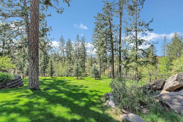 15918 E Cameron Ct, Spokane Valley, WA 99037 - view of green lawn