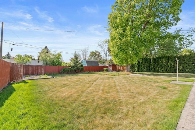 view of yard