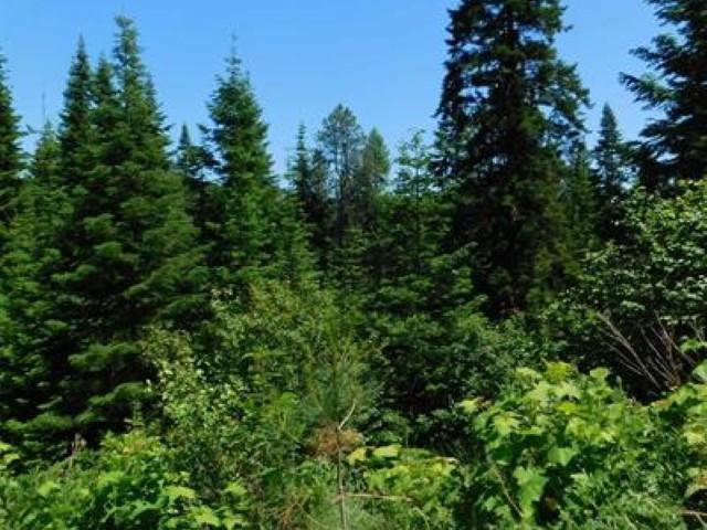 NNA Stanley Dr, Newport, WA 99156