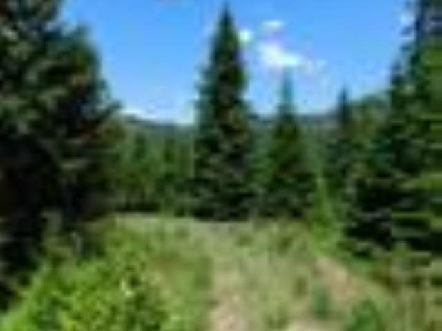 NNA Stanley Dr, Newport, WA 99156