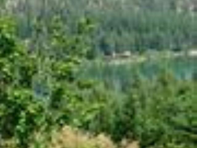 NNA Stanley Dr, Newport, WA 99156