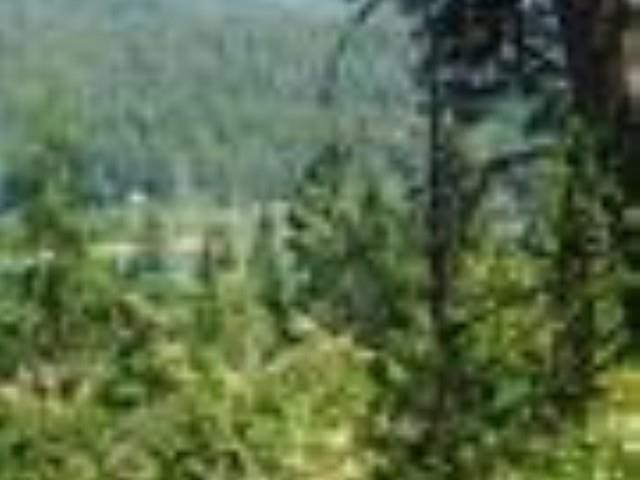 NNA Stanley Dr, Newport, WA 99156