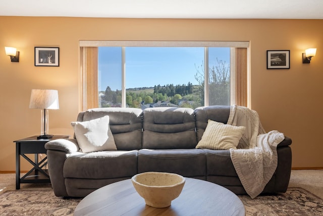 living area featuring baseboards and carpet