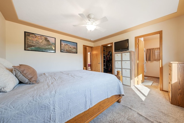bedroom with a spacious closet, carpet floors, a closet, and a ceiling fan