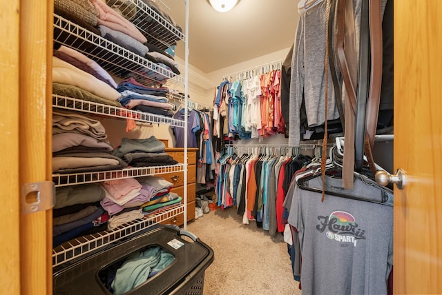 spacious closet with carpet