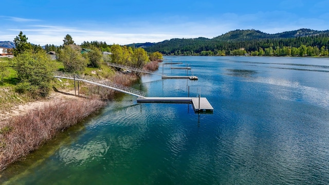 802 Open Skies Rd, Newport, WA 99156