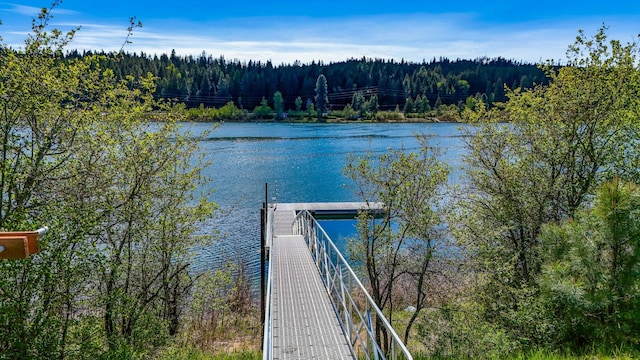 802 Open Skies Rd, Newport, WA 99156