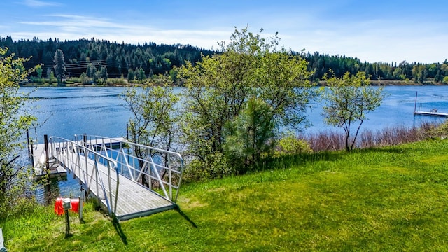 802 Open Skies Rd, Newport, WA 99156