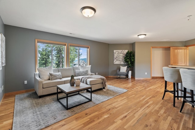 18707 E Terrapin Ln, Otis Orchards, WA 99027 - living room with light wood-type flooring and baseboards