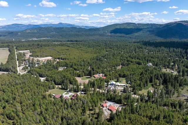 aerial overview of property's location with a heavily wooded area and a mountain backdrop