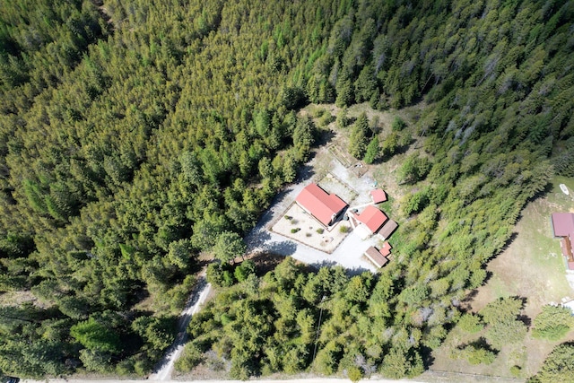 drone / aerial view of a heavily wooded area