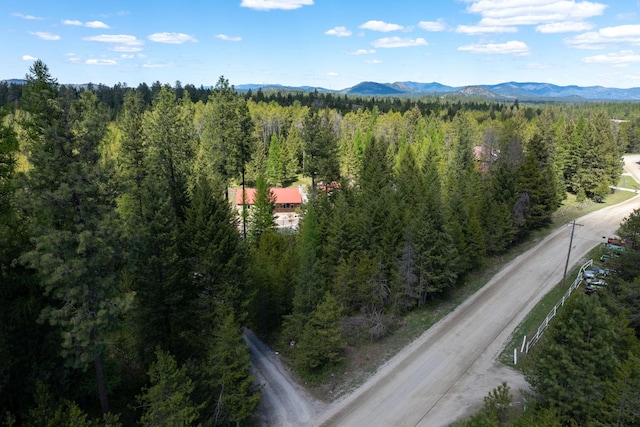 aerial view of a forest and a mountainous background