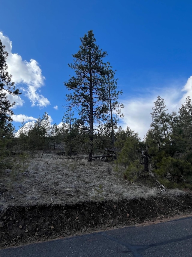 34645 N Partridge Ln, Davenport, WA 99122